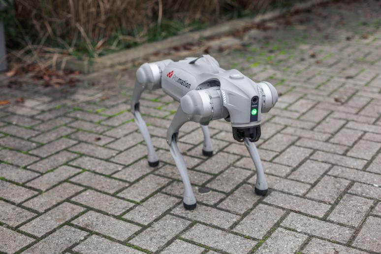 Roboter draußen